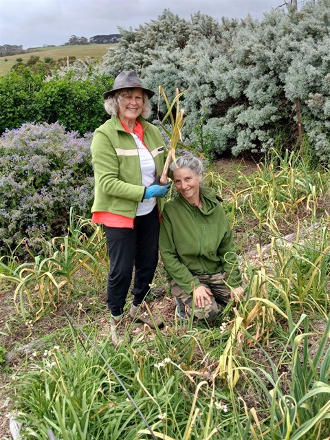 the-briars-seed-garden-volunteers.jpg