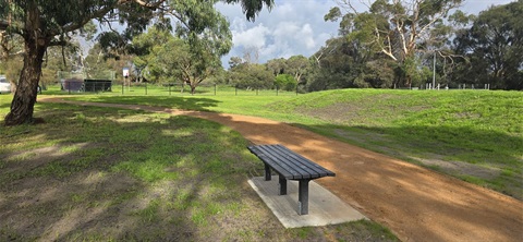 Bench in dog park.jpg