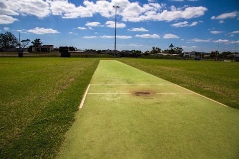 Cricket ground.jpg