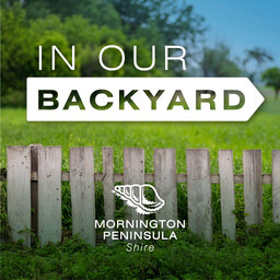 In Our Backyard Podcast
