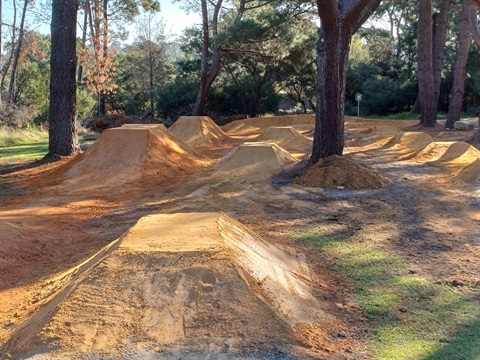 Citation Reserve Dirt Jumps.jpg