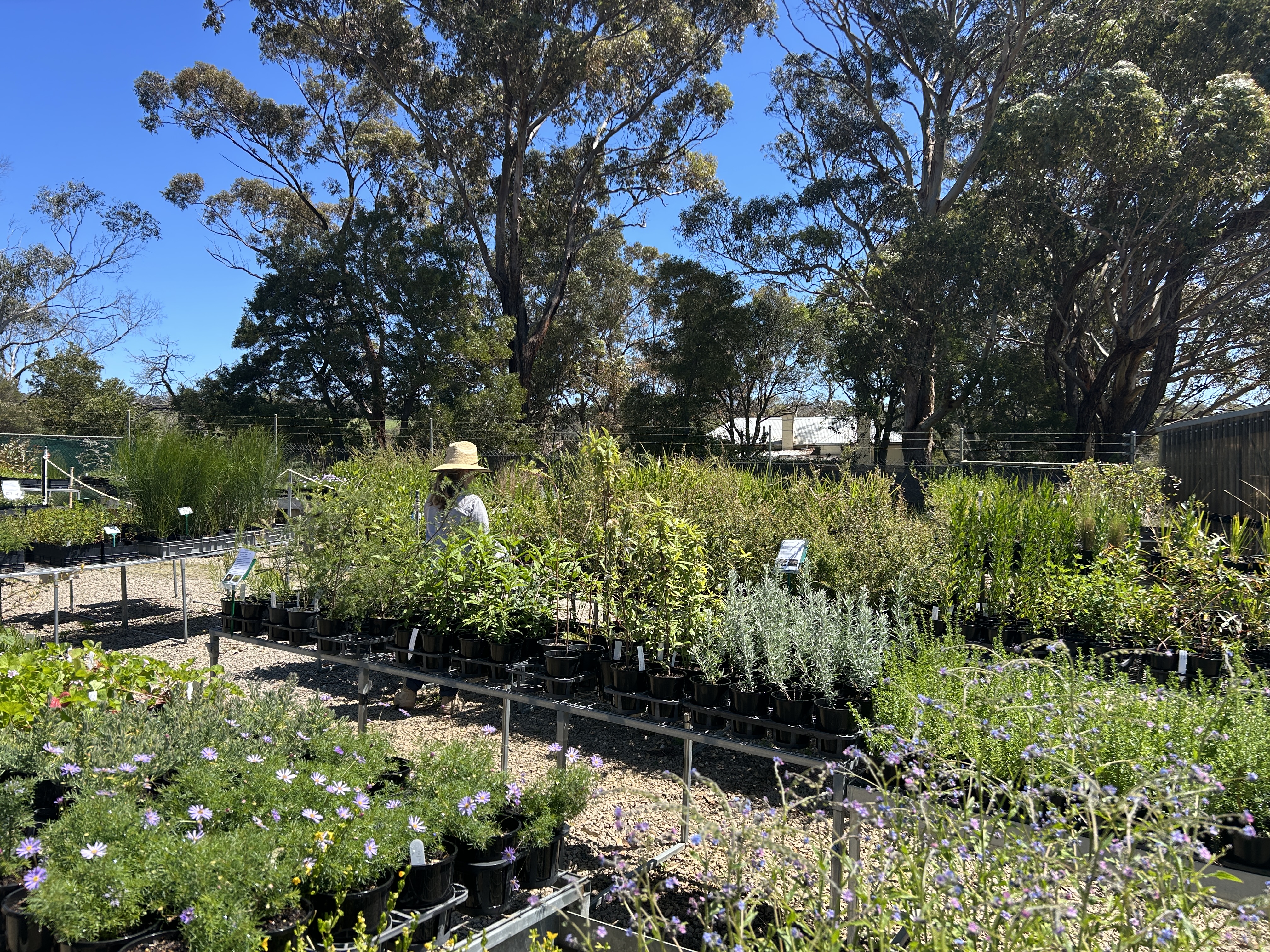 Briars Native Nursery
