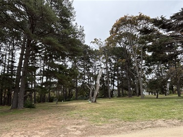 Open Space