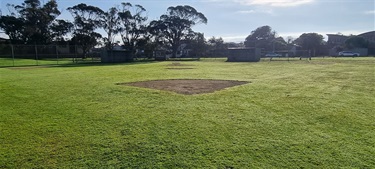 CB Wilson Diamond 2