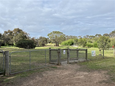 Leash Free Area