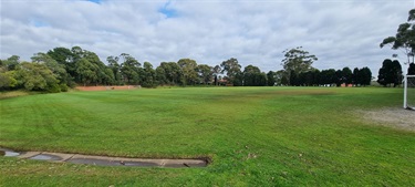 Mace Oval