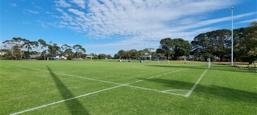 Soccer Pitch