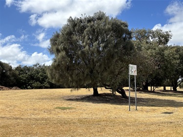 Leash Free Area