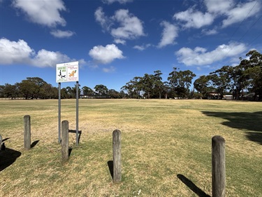 Leash Free Area
