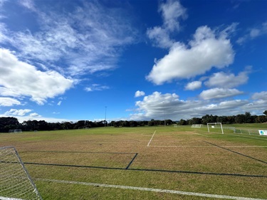 Truemans-Soccer-Pitches.jpg