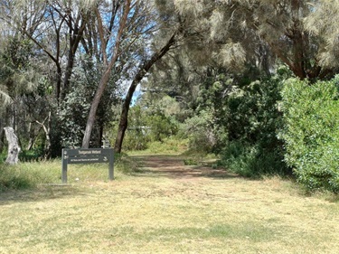 Wetlands