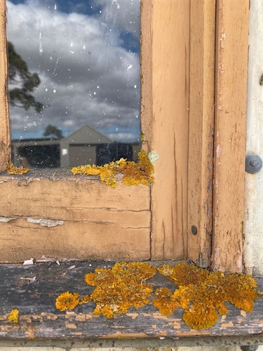 Laundry Window Frame