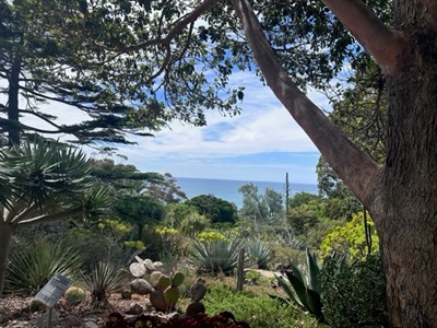 Heronswood Cactus and Views.jpg