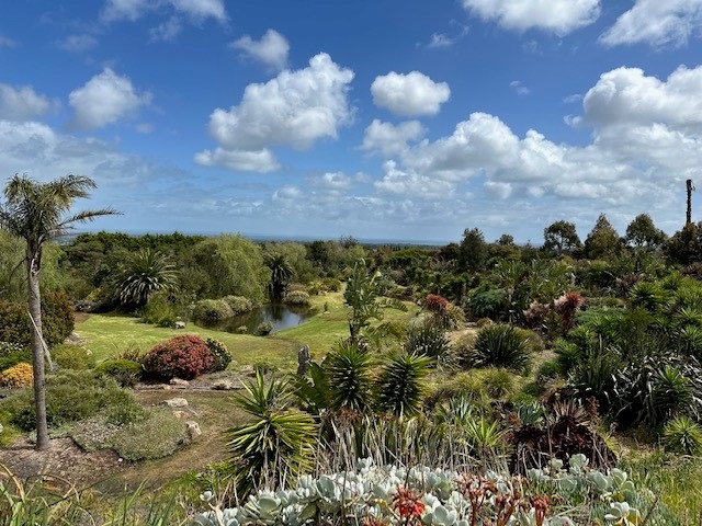 Panorama-3.jpg