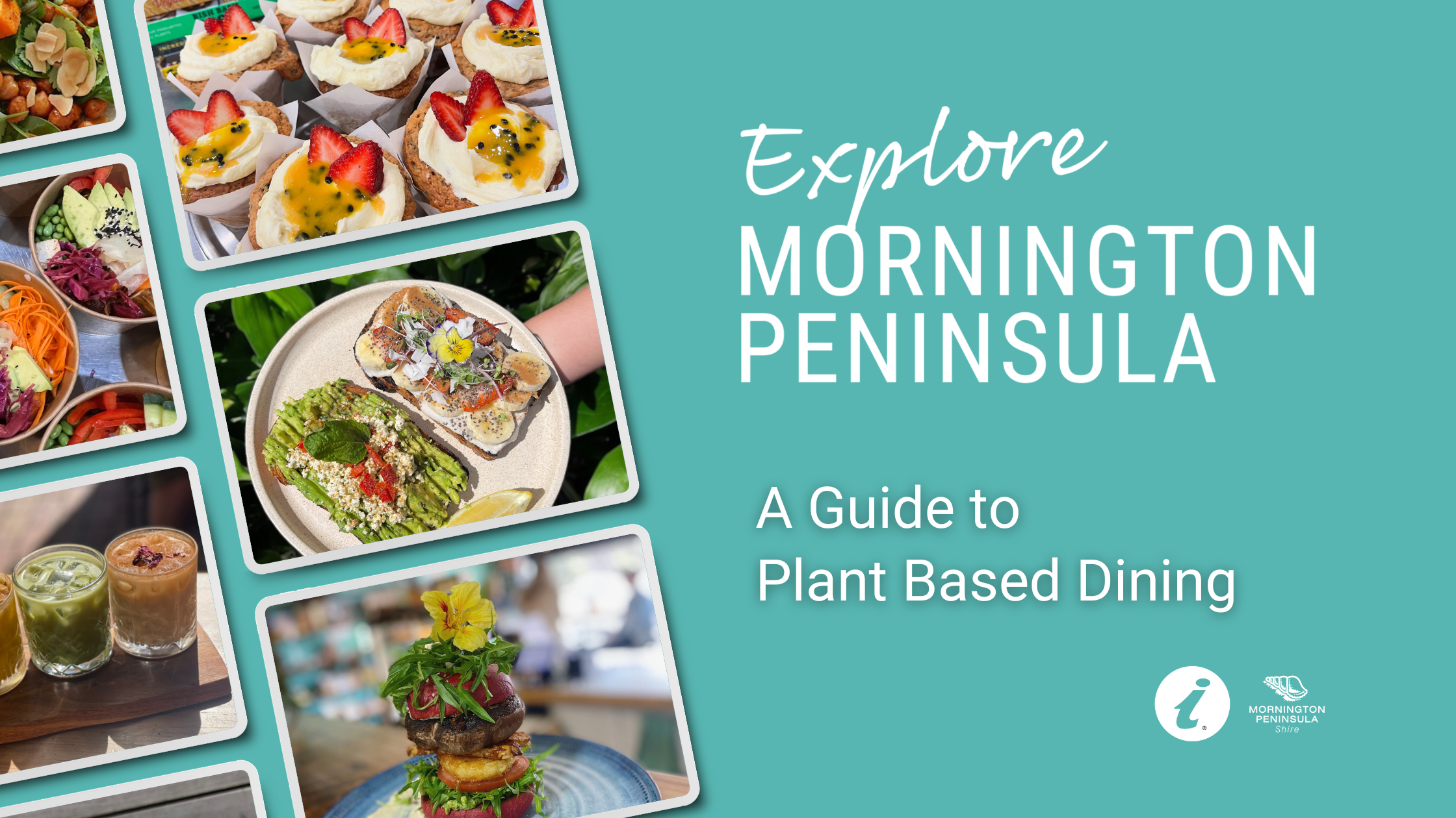 Blog Cover (1).png
