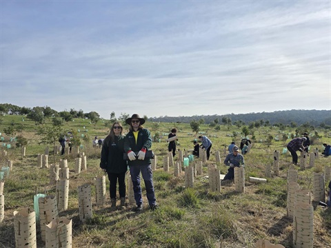 Sustainable Land Use.jpeg