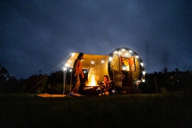 Wandering Wagons