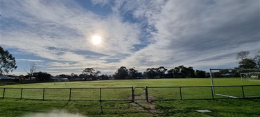 Barber Reserve playing surface