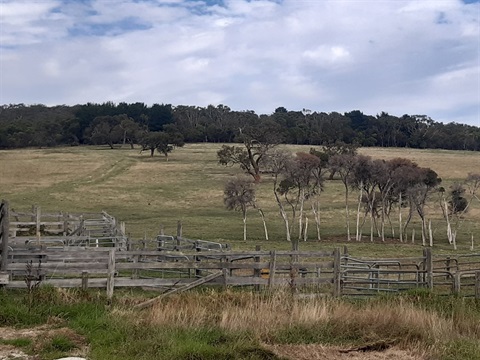Dromana Arthurs Seat Escarpment Management Plan.jpg