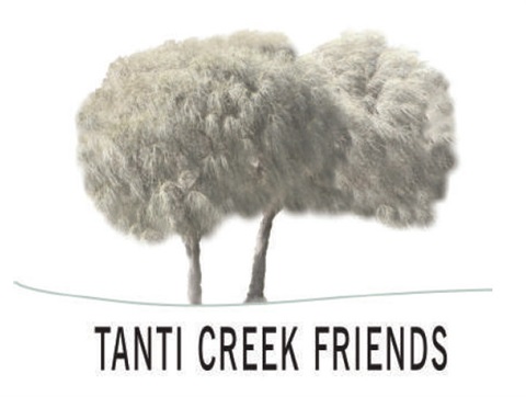 logo.jpg